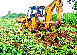 The encroachment on the forest land was removed; Seventeen acres of land are free | वनजमिनीवरील अतिक्रमण काढले; सतरा एकर जमीन मोकळी