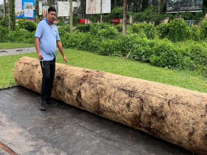 Production of the country largest natural grass carpet in Pune | देशातील सर्वात मोठ्या नैसर्गिक गवताच्या गालिचाची पुण्यात निर्मिती