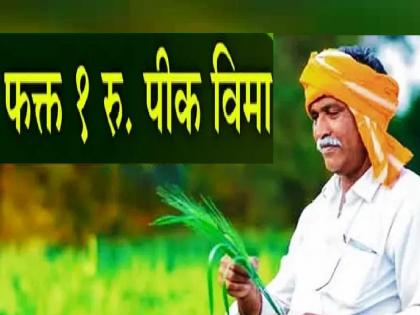 Good response in Kolhapur district in one rupee crop insurance scheme | एक रुपये पीकविमा योजनेत कोल्हापूर जिल्ह्यातील 'हे' तालुके आघाडीवर, ऊस पट्ट्यात प्रतिसाद कमी 