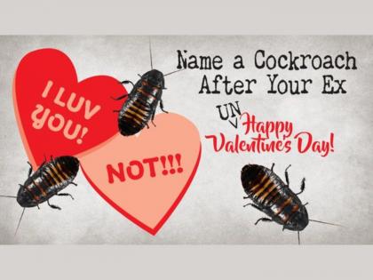 You can name a cockroach after your ex and animals will eat it on this Valentine's Day | या 'व्हॅलंटाईन डे'ला तुमच्या EXला तुम्ही प्राण्यांना खायला घालू शकता, प्राणीसंग्रहालयानं आणलीय नामी संधी