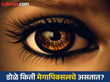 Eye lens megapixel unbelievable facts human eyes | मनुष्यांचे डोळे किती मेगापिक्सलचे असतात? ९९ टक्के लोकांना माहीत नसेल उत्तर...