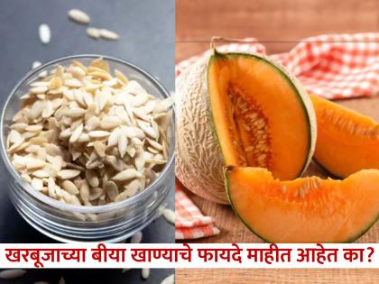 Muskmelon Seeds Benefits for lungs, kidneys, heart and cancer prevention | खरबूजाच्या बियांचे फायदे वाचाल तर कधी फेकणार नाही, दूर होतील अनेक समस्या