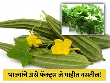 Ayurveda doctor told some unknown facts about eating vegetables and benefits | कोथिंबिर खाल्याने शरीरातून निघतं बॅड कोलेस्ट्रॉल, तुम्हालाही माहीत नसेल भाज्यांचे हे फॅक्ट्स