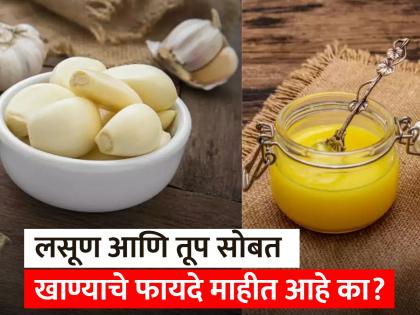 Health benefits of having ghee roasted garlic | लसूण तूपात भाजून खाल्ल्याने होतात हे जबरदस्त फायदे, अनेक समस्या होतील दूर