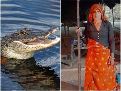 Wife fight with Crocodile to save her husband in chambal river karauli Rajasthan | खूब लड़ी मर्दानी! पाय जबड्यात धरून मगरीने नदीत खेचत नेलं; पत्नीने पतीला मृत्यूच्या दारातून परत आणलं