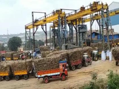 This year sugarcane crushing season will start on October 1 | यंदा राज्यात ऊस गाळप हंगाम १ ऑक्टोबरलाच सुरू करणार