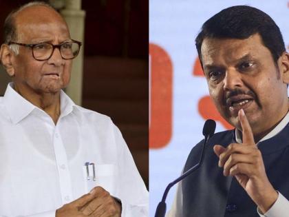 Maharashtra Lok Sabha Election 2024: All the leaders are extremely busy in the battleground of campaigning, what do they eat, when do they wake up, what is the secret of their 'stamina'? | सगळेच नेते प्रचारात कमालीचे बिझी, काय खातात, कधी उठतात, त्यांच्या ‘स्टॅमिना’चे रहस्य काय?