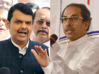 Devendra Fadnavis comment on Uddhav Thackeray Shiv Sena After Supreme Court Hearing power struggle in the state | उद्धव ठाकरे गटाकडून वेळकाढूपणाचे धोरण - देवेंद्र फडणवीस