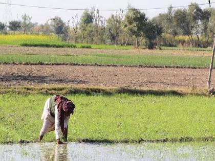 Benefit also to heirs of deceased farmers who pay regular loans; The campaign has been extended till September 18 | नियमित कर्ज फेडणाऱ्या मृत शेतकऱ्यांच्या वारसानांही लाभ; १८ सप्टेंबरपर्यंत मोहिमेला मुदतवाढ