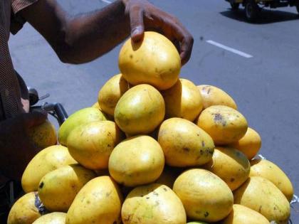 Hapu's Thirst on Baiganpalli; Due to unseasonal rains, the quality dropped | हापूसची तहान बैगनपल्लीवर; अवकाळी पावसामुळे दर्जा घसरला