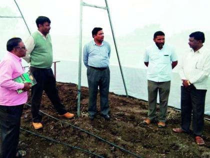 Farmers of Buldhana district increased their cultivation campaign! | बुलडाणा जिल्हय़ातील शेतकर्‍यांचा फलोत्पादन अभियानाकडे कल वाढला!