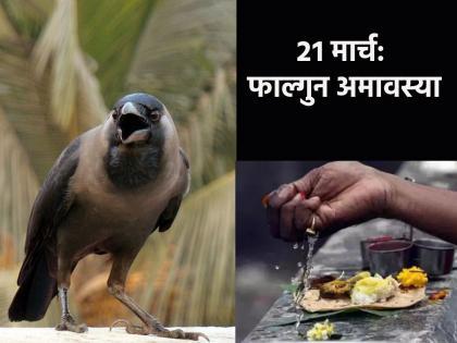 Falgun Amavasya 2023: Worship ancestors on Falgun Amavasya, get relief from illness, depression, Vastu Dosha! | Falgun Amavasya 2023: फाल्गुन अमावास्येला करा पितरांची पूजा, आजारपण, नैराश्य, वास्तूदोषातून मिळवा सुटका! Falgun Amavasya 2023: Worship ancestors on Falgun Amavasya, get relief from illness, depression, Vastu Dosha! | Falgun Amavasya 2023: फाल्गुन अमावास्येला करा पितरांची पूजा, आजारपण, नैराश्य, वास्तूदोषातून मिळवा सुटका!