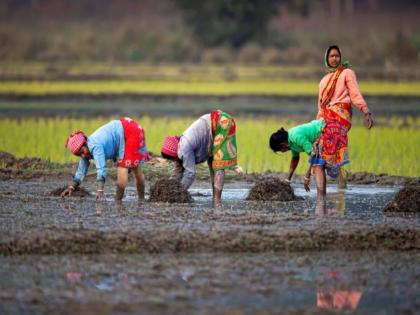 Name, of the Seventeen Farmers; The money is going to the center driver's account | नाव, सातबारा शेतकऱ्याचा; पैसा जातोय केंद्र चालकांच्या खात्यात