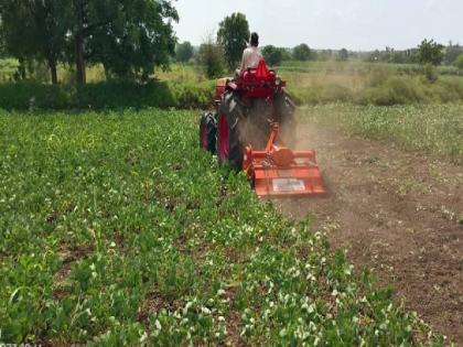 A rotor turned on seven acres of soybeans Farmers are desperate due to lack of rain | सात एकर सोयाबीनवर फिरवला रोटर; पाउस पडेना म्हणून शेतकरी हतबल 