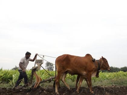 2 thousand 269 farmers have already availed the loan waiver scheme; decided ineligible | २ हजार २६९ शेतकऱ्यांनी यापूर्वीच घेतलाय कर्जमुक्ती योजनेचा लाभ; ठरविले अपात्र