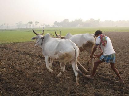 Farmers in crisis, What about a loan of over two lakh rupees? | खरीप हंगाम तोंडावर; दोन लाख रुपयांवरील कर्जाचे काय?