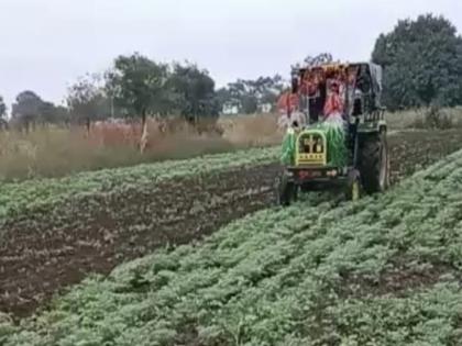 Cloudy weather caused disease in the gram crop; The farmer turned the rotavator directly on two hectares | ढगाळ वातावरणाने हरभरा पिकावर रोग पडला; शेतकऱ्याने दोन हेक्टरवर थेट रोटाव्हेटर फिरविला