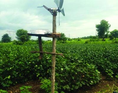 Innovative use of farmers to control wild animals | वन्य प्राण्यांवर नियंत्रणासाठी शेतकर्यांचा अभिनव प्रयोग Innovative use of farmers to control wild animals | वन्य प्राण्यांवर नियंत्रणासाठी शेतकर्यांचा अभिनव प्रयोग