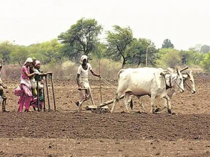 Crops on two lakh hectares were soiled due to hailstorm and unseasonal rain | दोन लाख हेक्टरवरील पिकांची गारपीट व अवकाळी पावसामुळे झाली माती