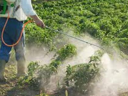 Health check up of farmers and farm laborers spraying pesticides | कीटकनाशकाची फवारणी करणाऱ्या शेतकरी व शेतमजुरांची आरोग्य तपासणी