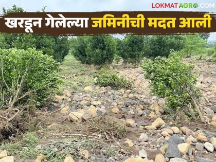Compensation for the eroded lands has been received; the way is clear for the money to be deposited in the farmers accounts | खरडून गेलेल्या जमिनींची नुकसानभरपाई आली; पैसे शेतकऱ्यांच्या खात्यावर जमा होण्याचा मार्ग मोकळा Compensation for the eroded lands has been received; the way is clear for the money to be deposited in the farmers accounts | खरडून गेलेल्या जमिनींची नुकसानभरपाई आली; पैसे शेतकऱ्यांच्या खात्यावर जमा होण्याचा मार्ग मोकळा