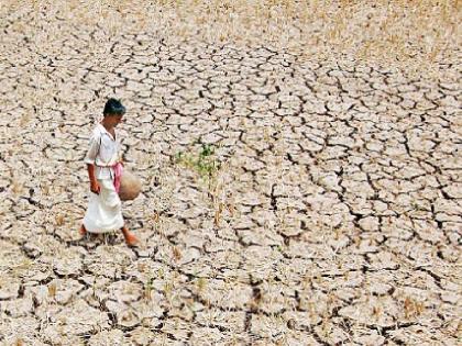 Farmers to get Compensation as Rainfall rests in 53 Areas Commissioner of Agriculture's order of survey | ५३ मंडळांत पावसाचा खंड; शेतकऱ्यांना मिळणार भरपाई; सर्वेक्षणाचे कृषी आयुक्तांचे आदेश