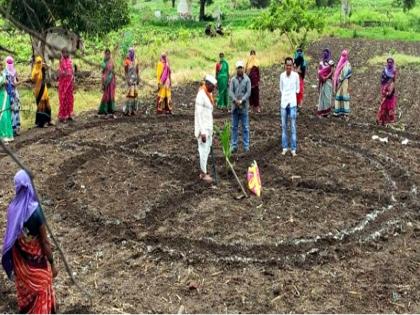 Admirable! Organic farming is being carried out in the backyard | कौतुकास्पद ! परसबागेतून राबविला जातोय सेंद्रीय शेतीचा प्रयोग