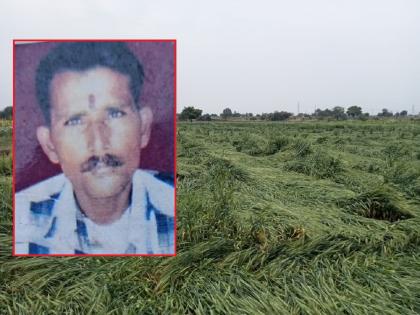 There is no price for cotton, the crops fell due to untimely rains; A desperate farmer ended his life in Gangapur | कापसाला भाव नाही, अवकाळी पावसाने पिके पडली; हतबल शेतकऱ्याने जीवन संपवले