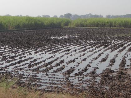 Farmer's death due to fall in farm | शेतातील बांधीत पडून शेतकऱ्याचा मृत्यू