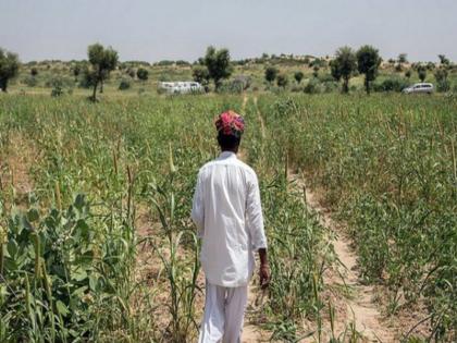 Our survival depends on rain Jobs in the city for 15-20 thousand are done in the city for food, opinion of young farmers | पावसावर आमचं जगणं अवलंबून; पोटासाठी शहरात करतो १५-२० हजारांत नोकरी, तरुण शेतकऱ्यांचे मत