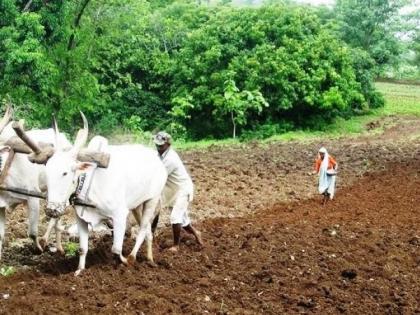 How will a farmer survive who was trapped by a lockdown ? | Coronavirus; लाॅकडाऊनने कोंडीत सापडलेला शेतकरी जगेल कसा?