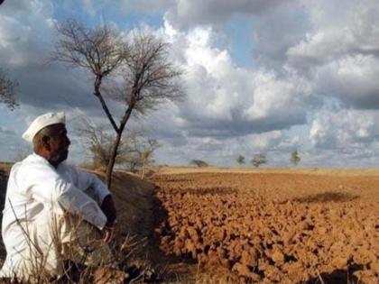 Heavy rains do not fall waiting does not end farmer worried in maharashtra | वरुणराजा रुसलाय...! मुसळधार पाऊस कोसळेना, प्रतीक्षा संपेना; बळीराजा चिंतेत