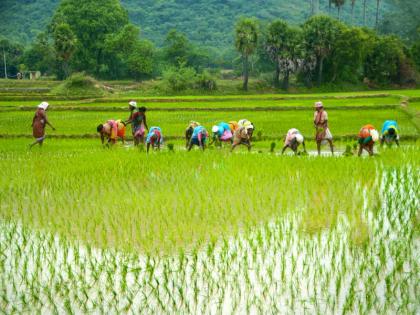 Make agriculture watery through solar pumps about 25 thousand pumps will be distributed, application process has started | सौरपंपातून करा शेती पाणीदार, सुमारे २५ हजार पंपांचे वाटप होणार, अर्ज प्रक्रियेला सुरूवात