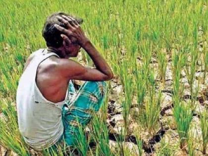 Chinese crisis on farmers! Exports of important minerals reduced, supply of fertilizers also stopped | शेतकऱ्यांवर चिनी संकट! महत्त्वाच्या खनिजांवरील निर्यात कमी, रोखला खतांचाही पुरवठा
