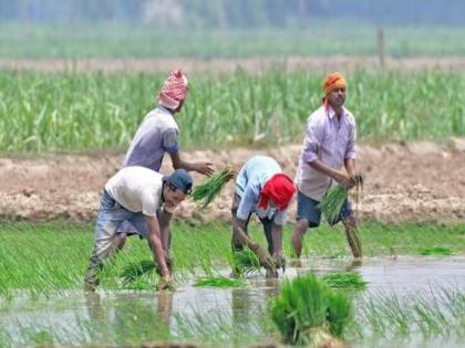 Crop insurance premium to the state is 1000, an additional burden of Rs. 53,000 crore compared to last year | पीक विम्याचा हप्ता राज्याला डोईजड, गेल्या वर्षाच्या तुलनेत सव्वातीन हजार कोटींचा अतिरिक्त भार