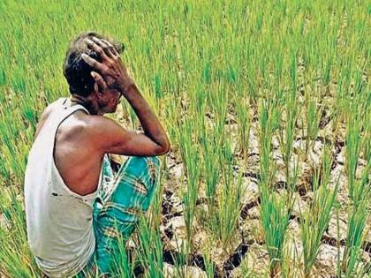 Crops washed by light rain, good rain in East Vidarbha, heavy rain expected | हलक्या पावसाने तरली पिके; पूर्व विदर्भात चांगला पाऊस, जोरदार पावसाची प्रतीक्षा