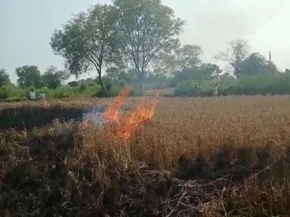 The cost is one lakh, the production is not even one roof, the farmer set fire to four acres of standing paddy | खर्च एक लाख, उत्पादन एक छदामही नाही, शेतकऱ्याने पेटविले चार एकारांतील उभे धान