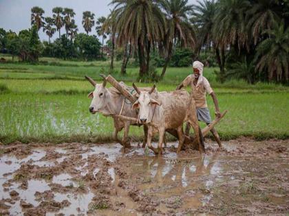 Baliraja will get relief This year the average rainfall will be the same according to the forecast of the Meteorological Department | monsoon 2023: बळीराजाला दिलासा मिळणार; यंदा सरासरी इतकाच पाऊस पडणार, हवामान विभागाचा अंदाज