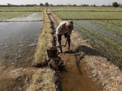 BJP to interact with disgruntled farmers, farmers contact in western Uttar Pradesh | नाराज शेतकऱ्यांशी संवाद साधणार भाजप, पश्चिम उत्तर प्रदेशमध्ये शेतकरी संपर्क