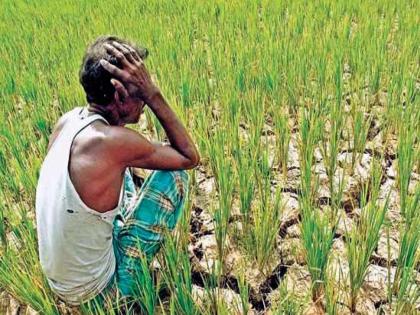 Farmers need the strength to survive; Highest self injury death in Maharashtra, shocking reality revealed | शेतकऱ्यांना हवं जगण्याचं बळ; सर्वाधिक आत्महत्या महाराष्ट्रात, धक्कादायक वास्तव आले समोर