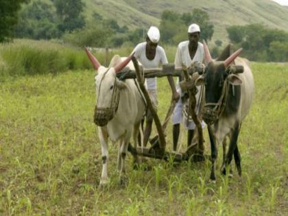 Important news for farmers! Insurance portal launched to register participation under fruit insurance scheme | शेतकऱ्यांसाठी महत्वाची बातमी! फळपिक विमा योजनेंतर्गत सहभाग नोंदवण्यासाठी विमा पोर्टल सुरू