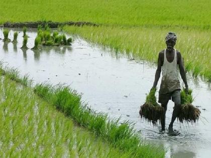 Unseasonal rains hit 7 talukas in Pune Farmers are worried due to loss of crops | अवकाळी पावसाचा पुण्यातील ७ तालुक्यांना फटका; पिकांचे नुकसान झाल्याने शेतकरी चिंतेत