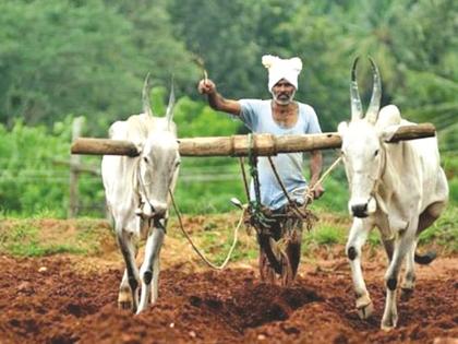 1461 crore loan waiver will be received in Nanded district; The first list includes 423 farmers | नांदेड जिल्ह्यात १४६१ कोटींची कर्जमाफी मिळणार; पहिल्या यादीत ४२३ शेतकऱ्यांचा समावेश