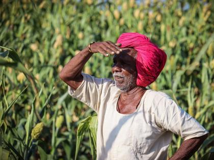 More than once subsidy given to 2399 farmers in Chhatrapati Sambhajinagar | सॉप्टवेअरचा घोळ अन् छत्रपती संभाजीनगरात २३९९ शेतकऱ्यांना एकापेक्षा अधिकवेळा अनुदान More than once subsidy given to 2399 farmers in Chhatrapati Sambhajinagar | सॉप्टवेअरचा घोळ अन् छत्रपती संभाजीनगरात २३९९ शेतकऱ्यांना एकापेक्षा अधिकवेळा अनुदान