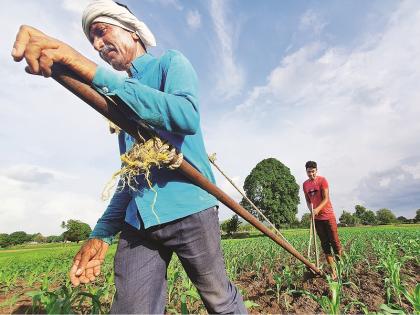 Maharashtra Agriculture Day: The rented land and the shoulder of father and son instead of ox | महाराष्ट्र कृषिदिन : ठोक्याची जमीन अन् वडील व मुलाचा खांदा...