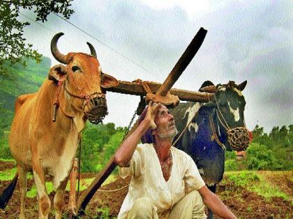 As the rulers are engrossed in the drama of power, they ignore the farmers issues | राज्यकर्ते सत्ता नाट्यात गुंग; शेतकऱ्याची मात्र मती गुंग