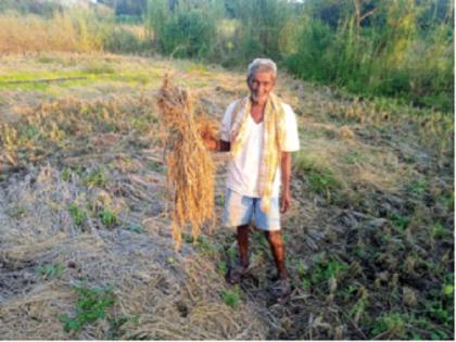 God gives and karma leads; Please tell, whats the story of them ..... | दैव देते आणि कर्म नेते; सांगा ना आम्ही जगायचं कसं?