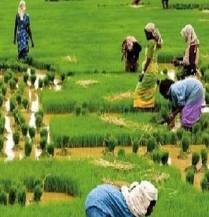 PM Kisan Maandhan Yojana : आता शेतकऱ्यांना मिळणार दरमहा 3 हजार रुपये पेन्शन; काय आहे योजना? जाणून घ्या...