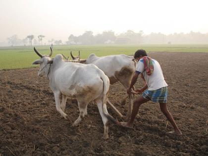 "In progressive Maharashtra, it is very unfortunate to ask a farmer's caste, take action against those who ask caste for fertilizer" Nana Patole demanded. | "पुरोगामी महाराष्ट्रात शेतकऱ्याला जात विचारणे अत्यंत दुर्दैवी, खतासाठी जात विचारणाऱ्यांवर कारवाई करा" नाना पटोलेंची मागणी