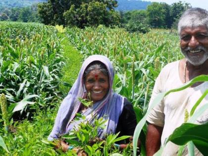 Farmers in Nagpur district free of debt | नागपूर जिल्ह्यातील ३१ हजारावर शेतकरी कर्जमुक्त